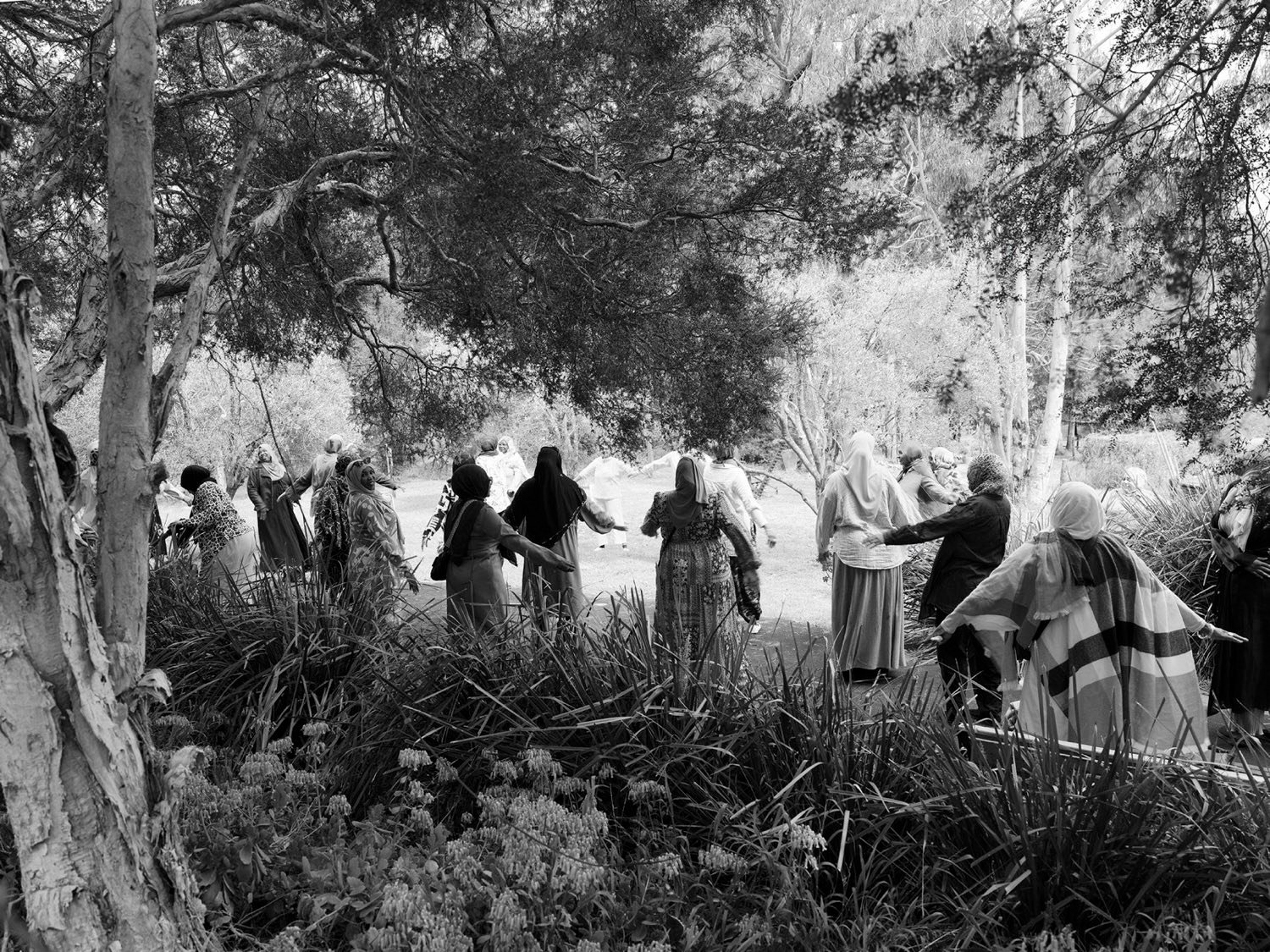 A circle of women doing gentle movement among gum trees
